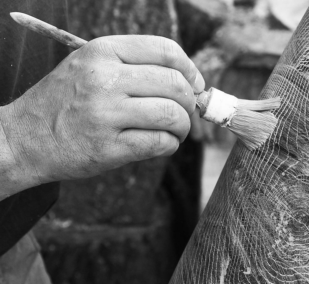 placeholder image-sq